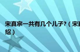 宋真宗一共有几个儿子?（宋真宗一共有几个儿子相关内容简介介绍）