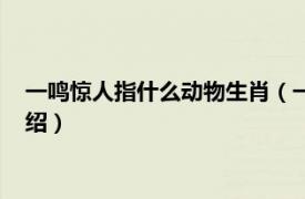 一鸣惊人指什么动物生肖（一鸣惊人指哪个生肖相关内容简介介绍）