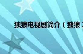 独狼电视剧简介（独狼 2012年陶秋普执导电视剧）