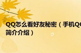 QQ怎么看好友秘密（手机QQ好友的秘密如何进入查看相关内容简介介绍）