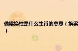 偷梁换柱是什么生肖的意思（换梁偷柱为一员是什么生肖相关内容简介介绍）