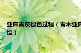 亚麻青灰褪色过程（青木亚麻灰会褪成什么颜色相关内容简介介绍）