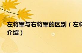 左将军与右将军的区别（左将军和右将军哪个官大相关内容简介介绍）