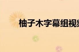 柚子木字幕组视频（柚子木字幕组）