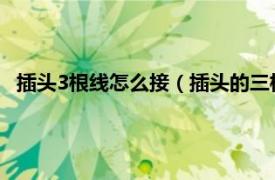 插头3根线怎么接（插头的三根线怎么接线相关内容简介介绍）