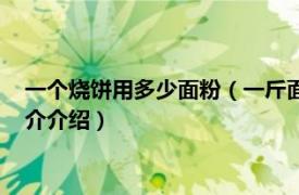 一个烧饼用多少面粉（一斤面粉大概可以做几个烧饼相关内容简介介绍）