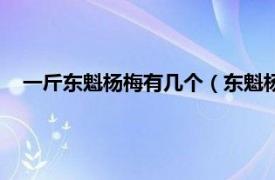 一斤东魁杨梅有几个（东魁杨梅多少一斤相关内容简介介绍）