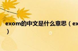 exom的中文是什么意思（exo me是什么意思相关内容简介介绍）