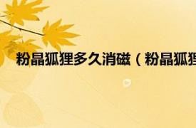 粉晶狐狸多久消磁（粉晶狐狸怎么消磁啊相关内容简介介绍）