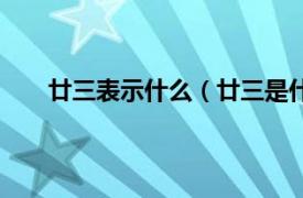 廿三表示什么（廿三是什么意思相关内容简介介绍）