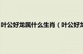 叶公好龙属什么生肖（叶公好龙是指哪个生肖相关内容简介介绍）