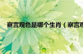 察言观色是哪个生肖（察言观色打一生肖相关内容简介介绍）