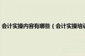 会计实操内容有哪些（会计实操培训内容包括哪些内容相关内容简介介绍）