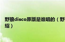 野狼disco原版是谁唱的（野狼disco原版谁唱的相关内容简介介绍）