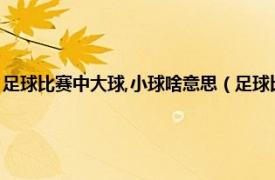 足球比赛中大球,小球啥意思（足球比赛大小球什么意思相关内容简介介绍）