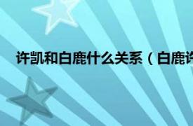 许凯和白鹿什么关系（白鹿许凯什么关系相关内容简介介绍）