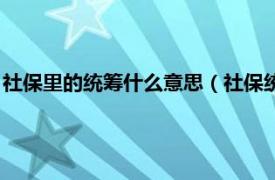 社保里的统筹什么意思（社保统筹是什么意思相关内容简介介绍）