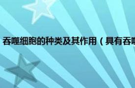 吞噬细胞的种类及其作用（具有吞噬功能的细胞有哪些相关内容简介介绍）