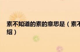 素不知道的素的意思是（素不知道的素字的意思相关内容简介介绍）