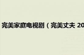 完美家庭电视剧（完美丈夫 2011年周家文、陈家霖执导电视剧）