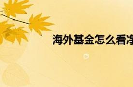 海外基金怎么看净值估算（海外基金）