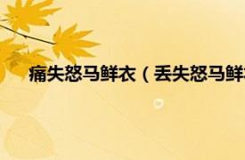 痛失怒马鲜衣（丢失怒马鲜衣什么意思相关内容简介介绍）