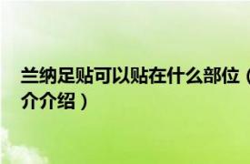 兰纳足贴可以贴在什么部位（兰纳足贴到底有没有用相关内容简介介绍）