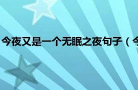 今夜又是一个无眠之夜句子（今夜无眠的句子相关内容简介介绍）