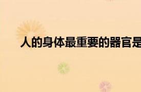 人的身体最重要的器官是哪些相关内容简介介绍一下