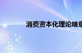 消费资本化理论啥意思（消费资本化理论）