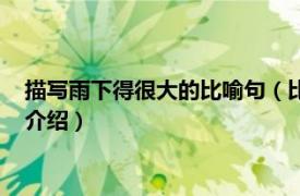 描写雨下得很大的比喻句（比喻雨下的很大的句子相关内容简介介绍）