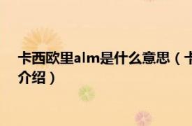 卡西欧里alm是什么意思（卡西欧alm是什么意思相关内容简介介绍）