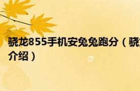 骁龙855手机安兔兔跑分（骁龙855跑分安兔兔多少相关内容简介介绍）