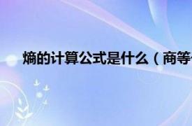 熵的计算公式是什么（商等于什么公式相关内容简介介绍）