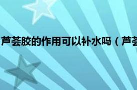 芦荟胶的作用可以补水吗（芦荟胶可以补水吗相关内容简介介绍）