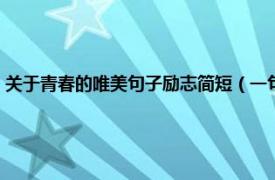 关于青春的唯美句子励志简短（一句青春励志唯美句子相关内容简介介绍）