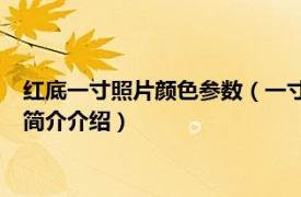 红底一寸照片颜色参数（一寸红底照片的RGB值是多少相关内容简介介绍）