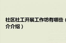 社区社工开展工作坊有哪些（什么是社会工作工作坊相关内容简介介绍）