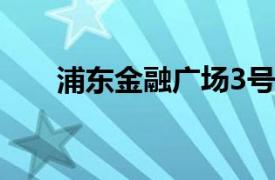 浦东金融广场3号楼（浦东金融广场）