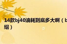 14款bj40油耗到底多大啊（bj40油耗到底多大啊相关内容简介介绍）