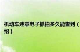 机动车违章电子抓拍多久能查到（电子抓拍违章多久能查到相关内容简介介绍）