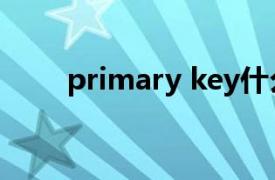 primary key什么意思（primary）