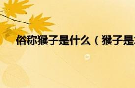 俗称猴子是什么（猴子是怎么叫的相关内容简介介绍）