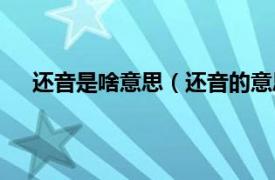 还音是啥意思（还音的意思是什么相关内容简介介绍）