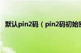 默认pin2码（pin2码初始密码是多少相关内容简介介绍）