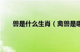 兽是什么生肖（禽兽是哪几个肖相关内容简介介绍）