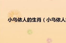 小鸟依人的生肖（小鸟依人指什么生肖相关内容简介介绍）