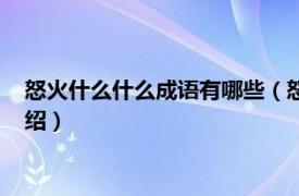 怒火什么什么成语有哪些（怒火什么成语有哪些相关内容简介介绍）