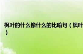 枫叶的什么像什么的比喻句（枫叶像什么的比喻句有哪些相关内容简介介绍）