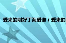 爱来的刚好丁海爱谁（爱来的刚好丁海结局相关内容简介介绍）